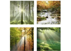 Bilder-Set, 4-teilig, mit Waldmotiven