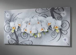 Bild mit dem Titel Orchideen