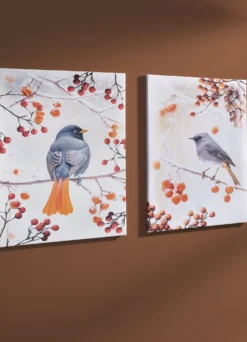 Bild Vogel des Jahres 2025 Hausrotschwanz auf Leinwand
