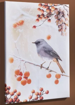 Bild Vogel des Jahres 2025 Hausrotschwanz auf Leinwand