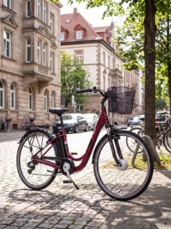 Das perfekte City-E-Bike
