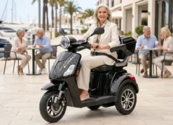 Econelo Akku-Trike, 3-Rad