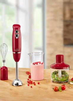 Stabmixer-Set mit 2-flügeligem Edelstahlmesser