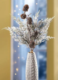 Thuja-Zweig mit echten Zapfen