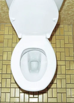 WC-Reinigungs-Tabs