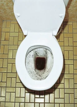 WC-Reinigungs-Tabs